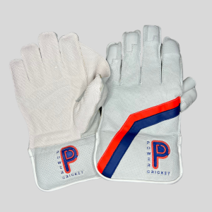 WICKET KEEPING GLOVES