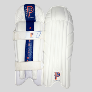 WICKET KEEPING PADS